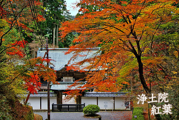 延暦寺浄土院2