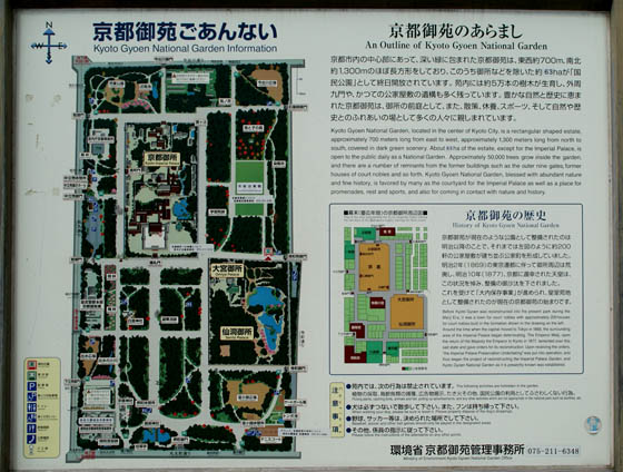 京都の観光ガイド桜4京都御苑