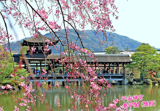京都の観光平安神宮3