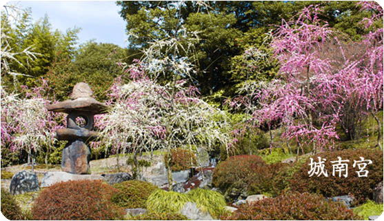 京都の観光ガイド梅城南宮11