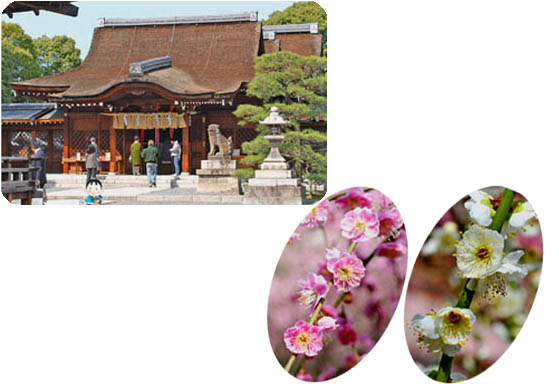 京都の観光ガイド梅城南宮22