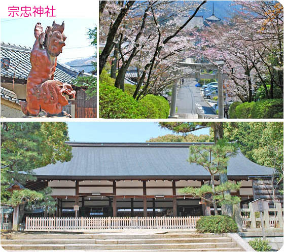 京都の観光桜3宗只神社