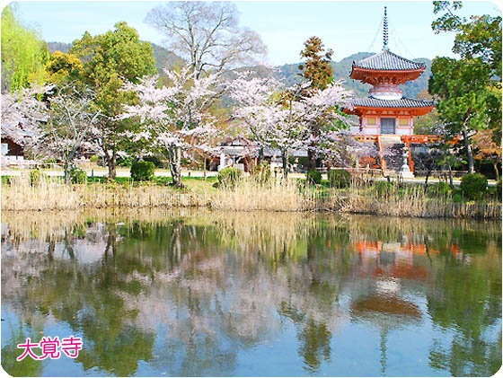 京都観光大覚寺4