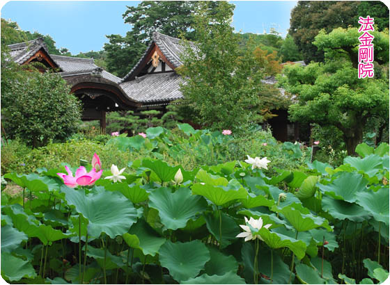 京都の寺院法金剛院3