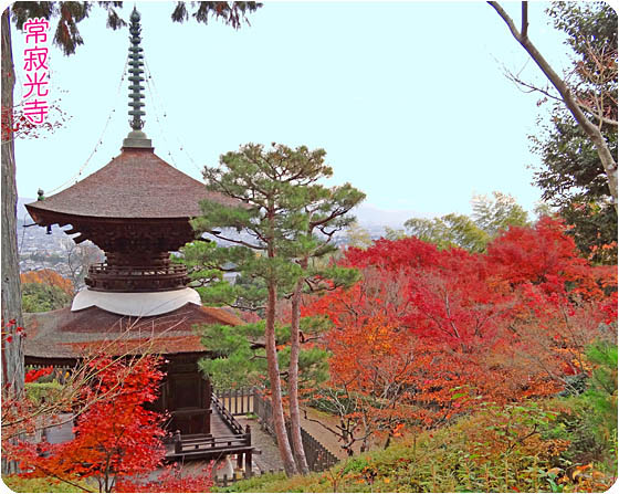 京都観光ガイド4常寂光寺