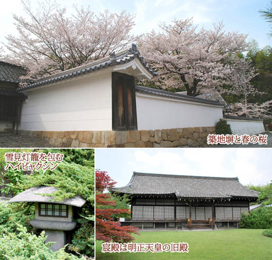 勧修寺01