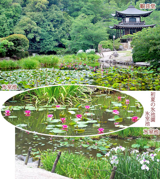 勧修寺02