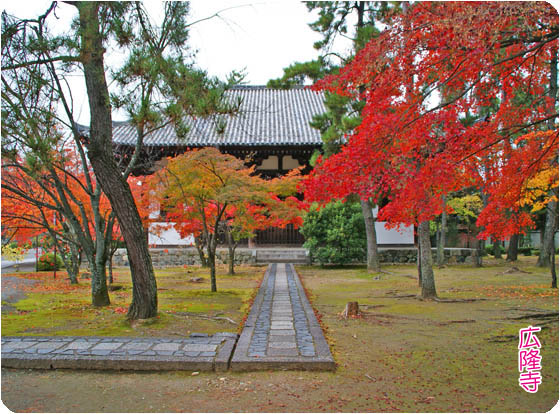 京都の寺院広隆寺3