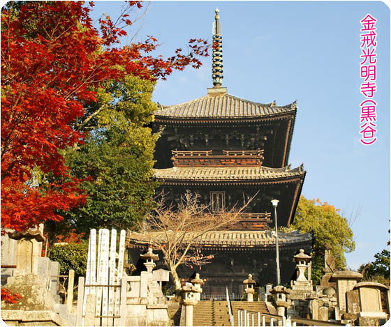 京都観光ガイド3黒谷
