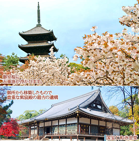 京都の寺院仁和寺1