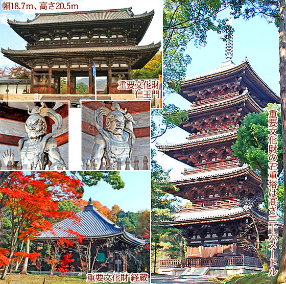 京都の寺院仁和寺2