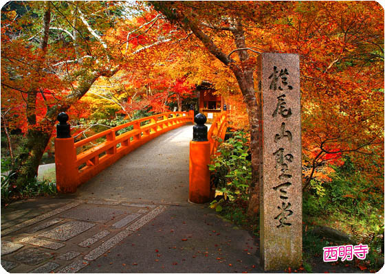京都観光ガイド3西明寺