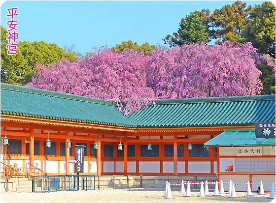 京都観光平安神宮下
