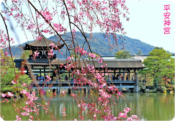 京都観光平安神宮下