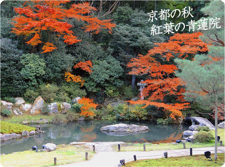 京都観光ガイド青蓮院