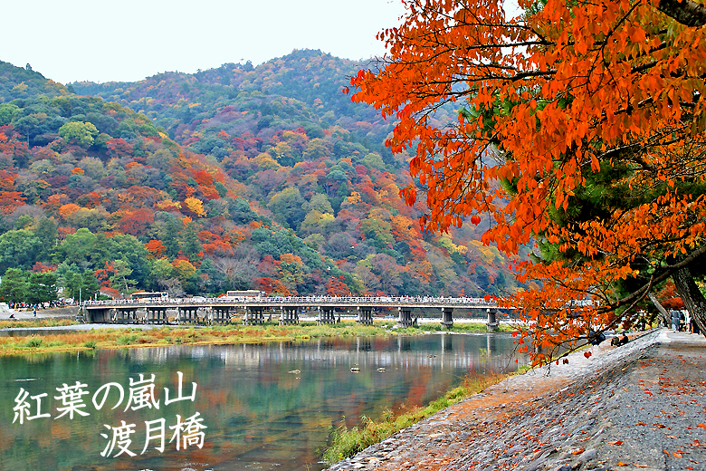 京都の紅葉渡月橋