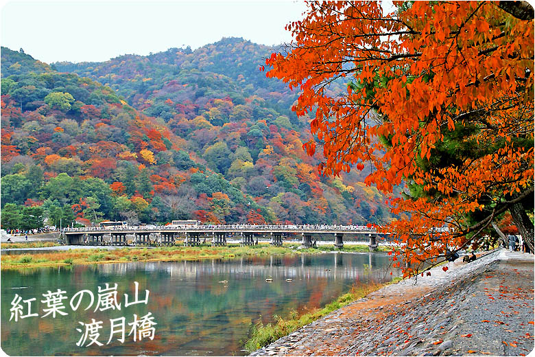 京都の紅葉渡月橋