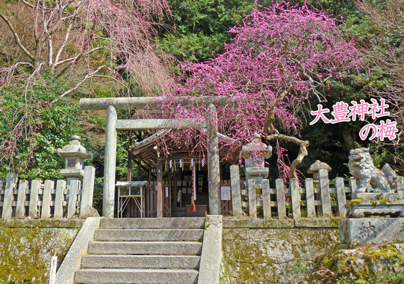 哲学の道大豊神社1