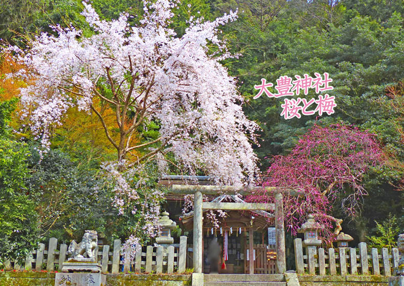 哲学の道大豊神社2